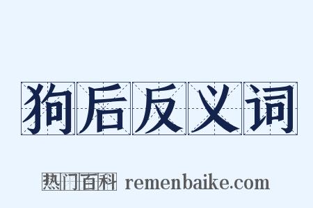 狗后反义词是什么意思的图片